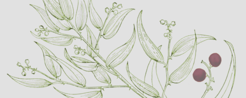 That Mysterious Plant