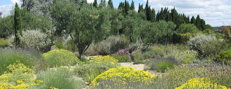 My History with the&nbsp;MGS